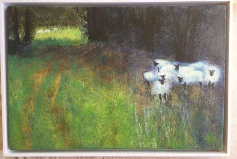 Sheep Gathering - Sally Bassett