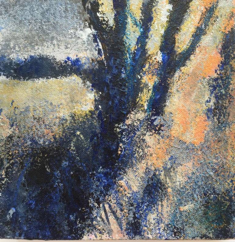 Blue Shadows, Frost Fronds, Evening Light. - Sally Bassett