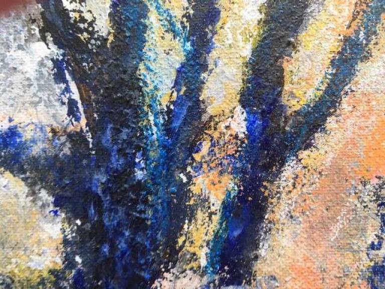 Blue Shadows, Frost Fronds, Evening Light. - Sally Bassett