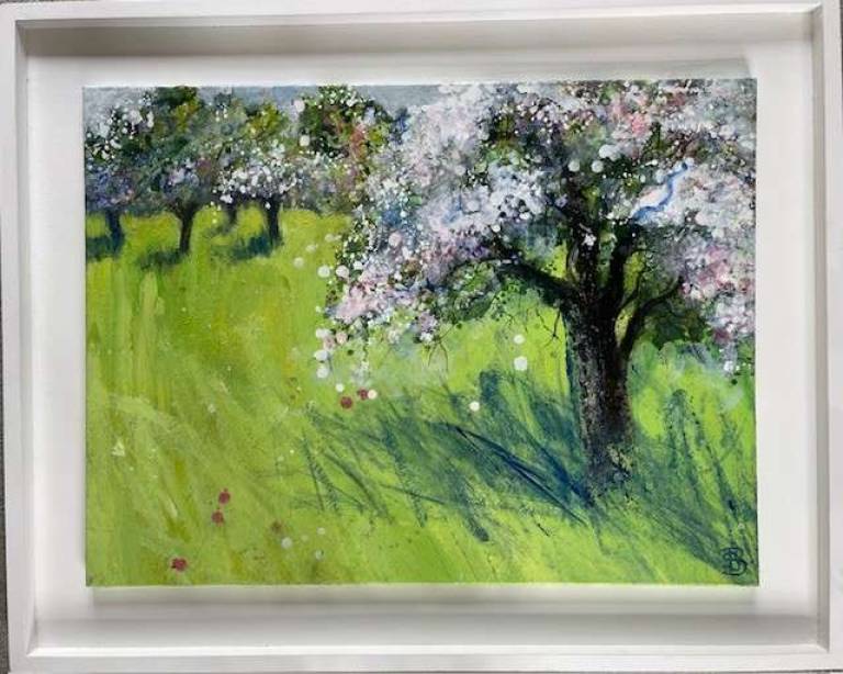 Apple Blossom in a Wild Orchard - Sally Bassett