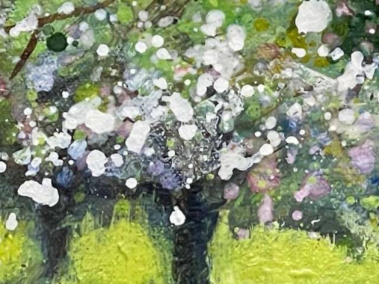 Apple Blossom in a Wild Orchard - Sally Bassett