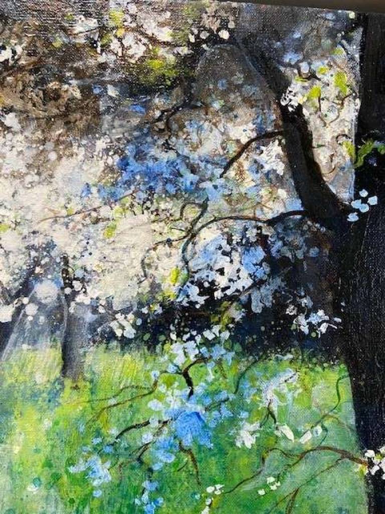 The Cherry Blossom Orchard - Sally Bassett