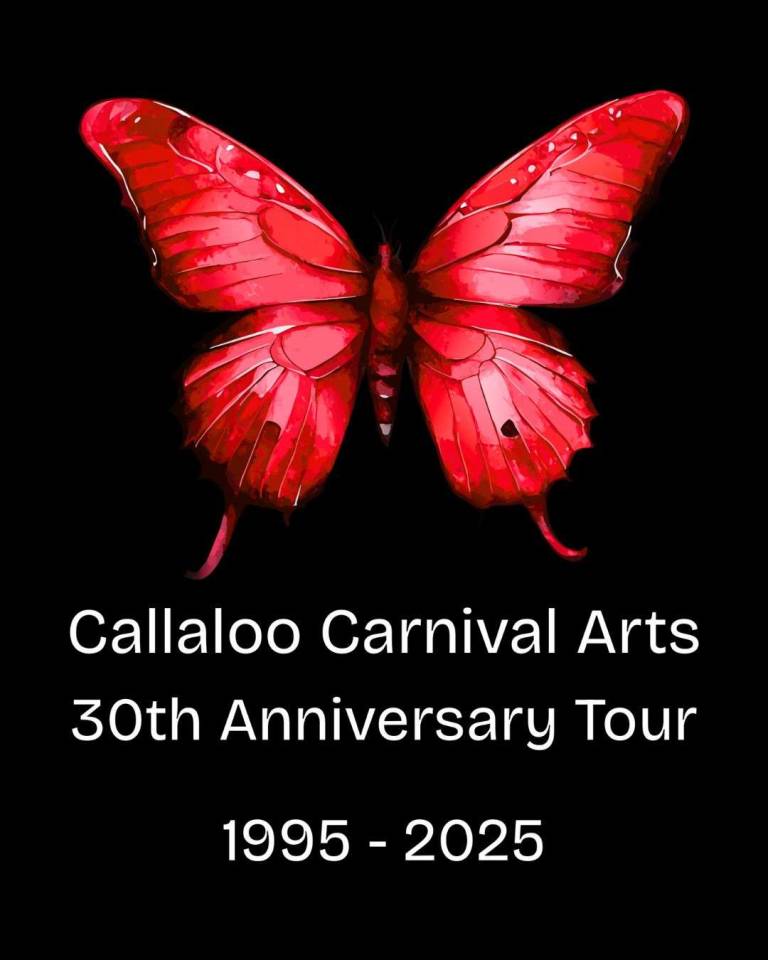 Callaloo Carnival Arts 30 Years Print T-shirt - Jasmine Estelle Greaves