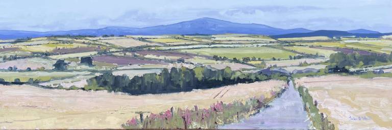 Westhill Summer Fields - John O'Neill