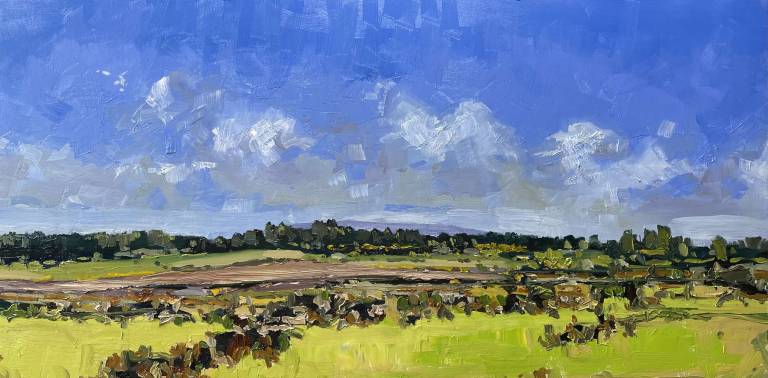 Scottish Fields - John O'Neill