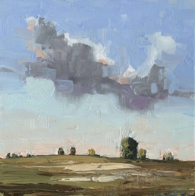 Farmland, Silchester - SOLD - John O'Neill