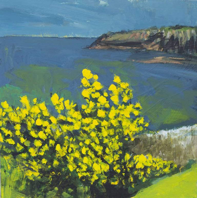 Gorse sun - Sophie Velzian