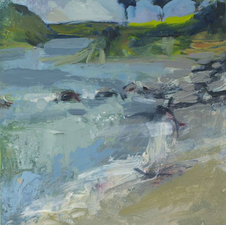 Lime over rocks at Durgan - Sophie Velzian