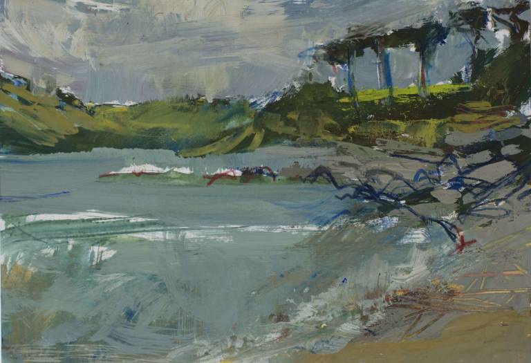 Lime over rocks - Sophie Velzian