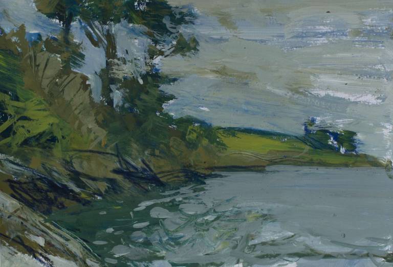 Grebe, at the end of the day - Sophie Velzian