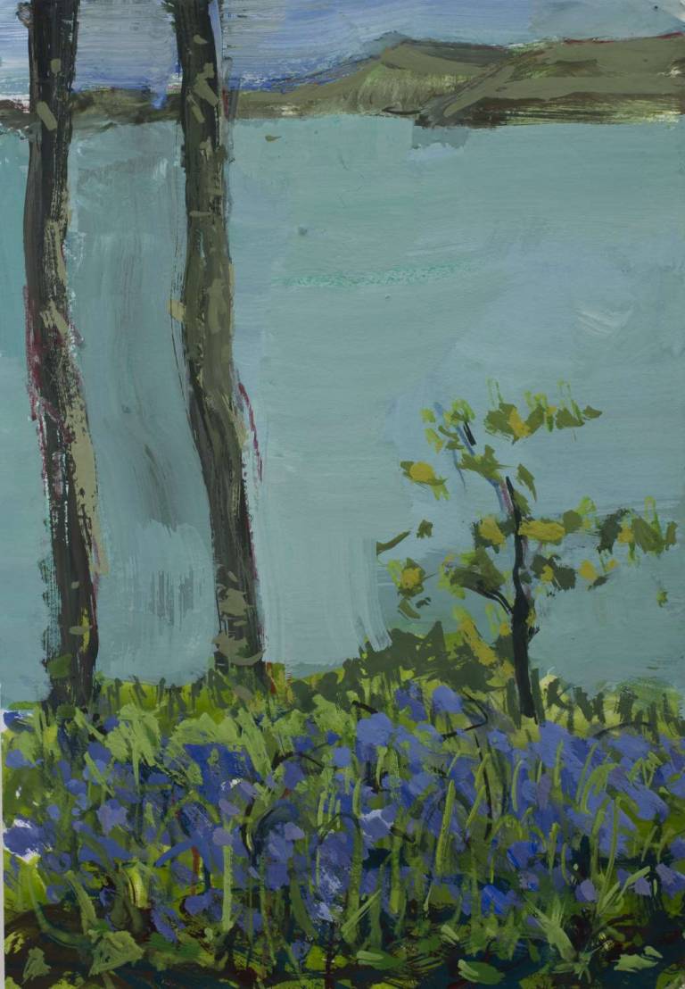 Bluebells over Grebe - Sophie Velzian
