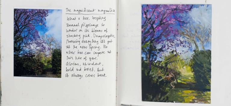 The magnificent magnolia - Sophie Velzian