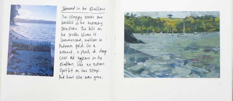 Seaweed in the shallows - Sophie Velzian