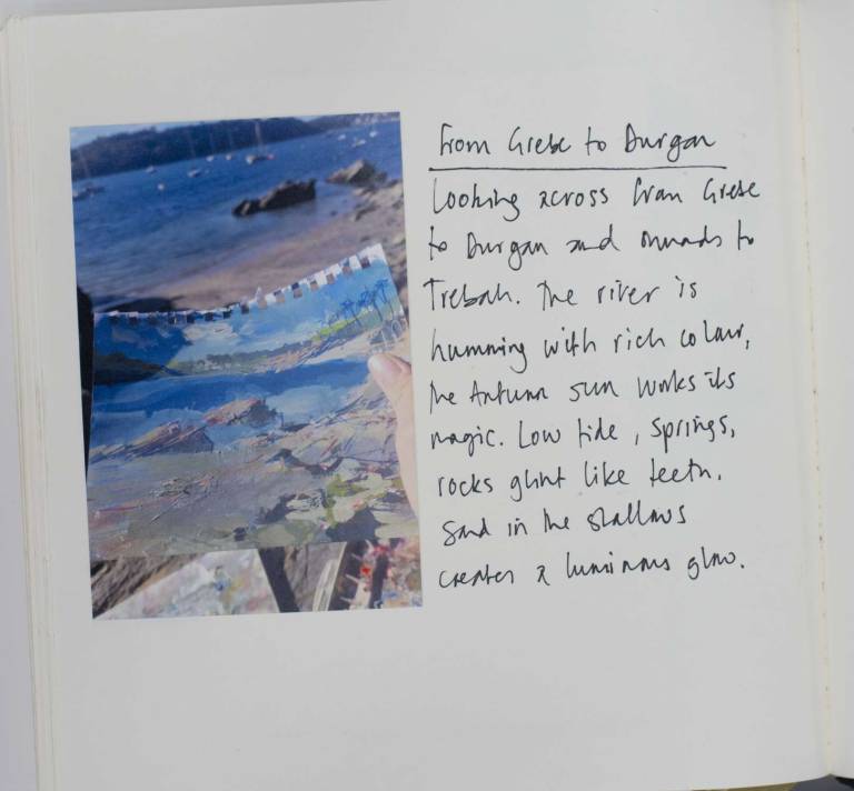 From Grebe to Durgan - Sophie Velzian