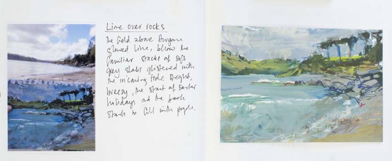 Lime over rocks - Sophie Velzian