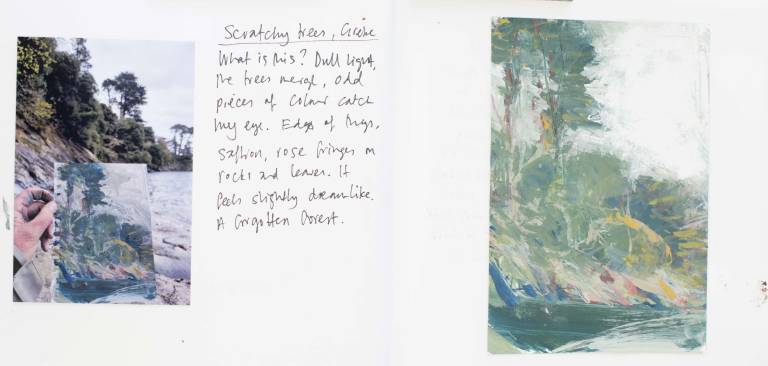 Scratchy trees, Grebe - Sophie Velzian