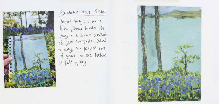 Bluebells over Grebe - Sophie Velzian