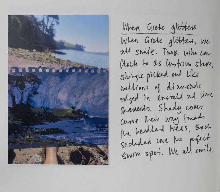 When Grebe glitters - Sophie Velzian