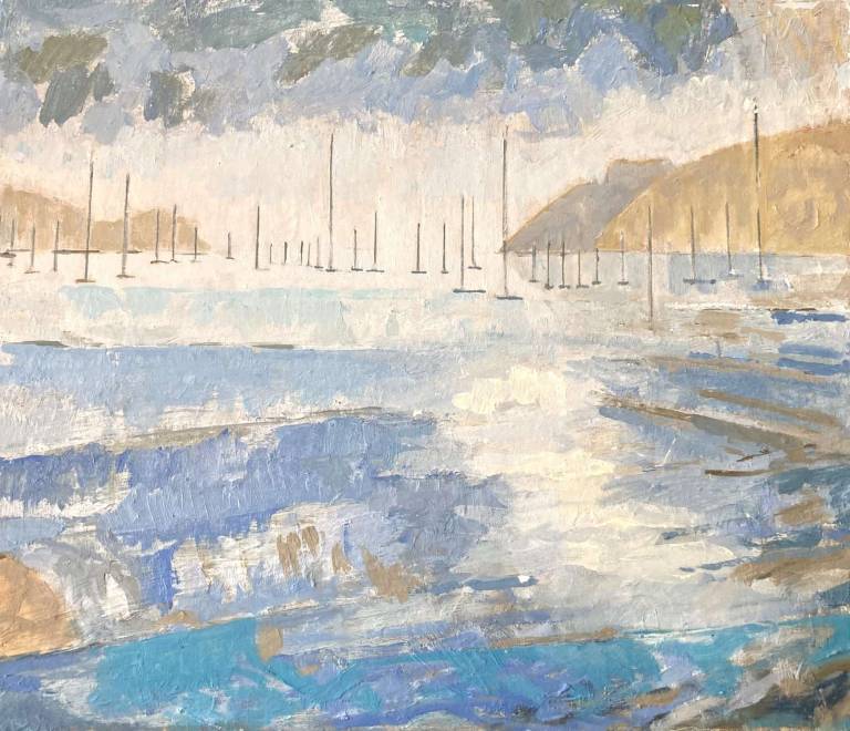 Helford Moorings 2004 - Tom Cross