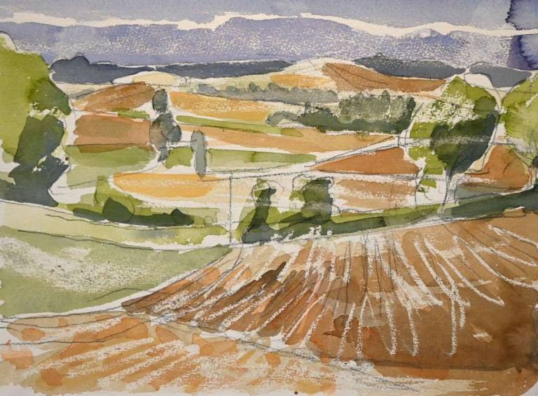 Untitled [Fields in Provence 2000] - Tom Cross