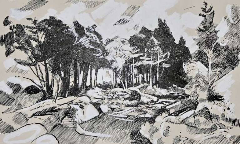Untitled [Stream running through Woodlands 1956] - Tom Cross