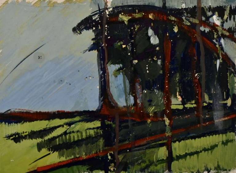 Untitled [Woodland scene 1954] - Tom Cross