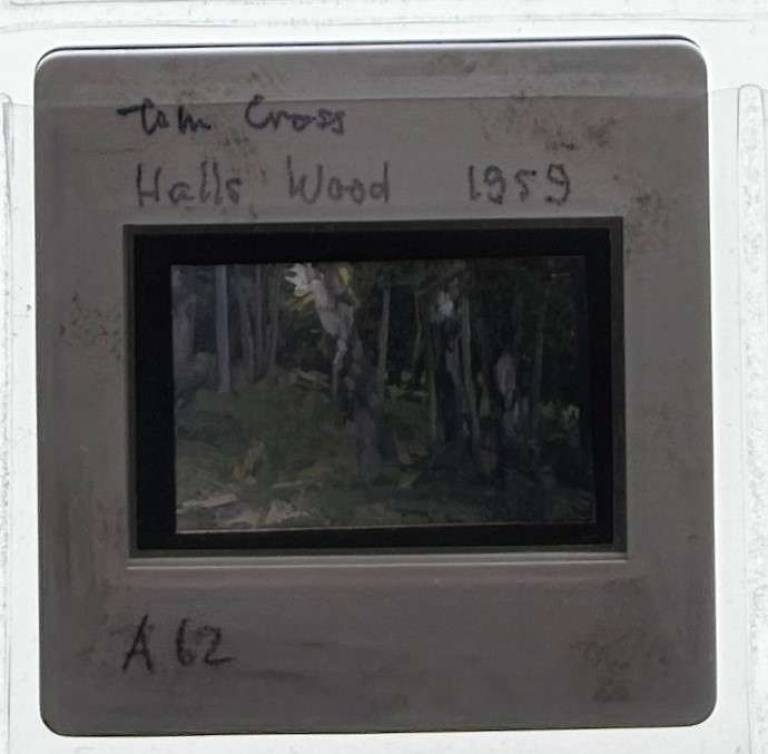 Hall's Wood 1959 - Tom Cross