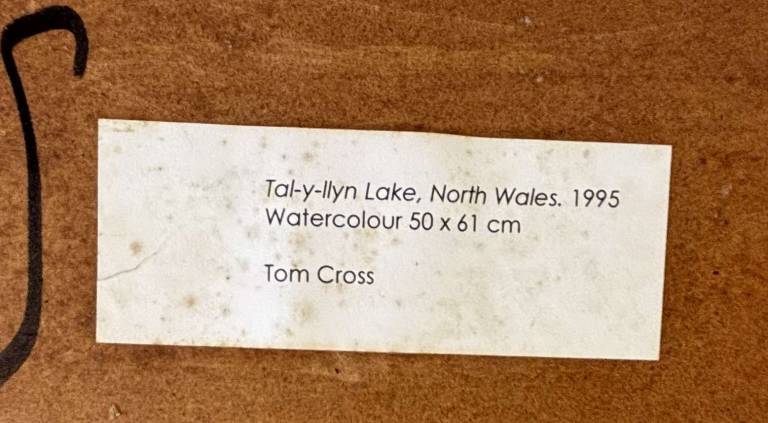 Tal-y-llyn Lakes NW Wales 1995 - Tom Cross