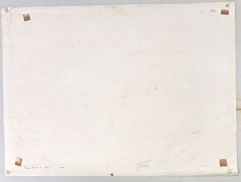 Freni Fawr 1 - Tom Cross