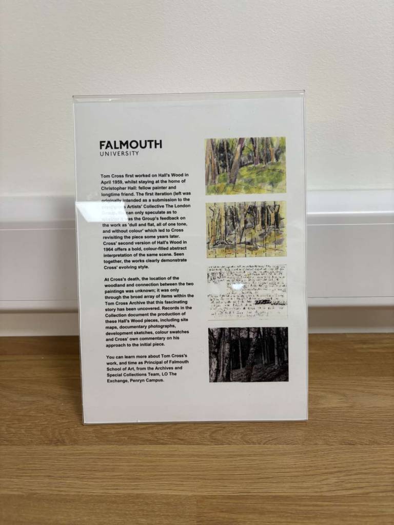 Halls Wood at Falmouth Univesity 2024 - Tom Cross