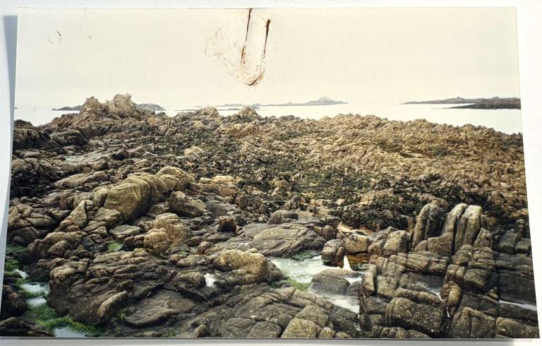 Lihou Island 1998 - Tom Cross