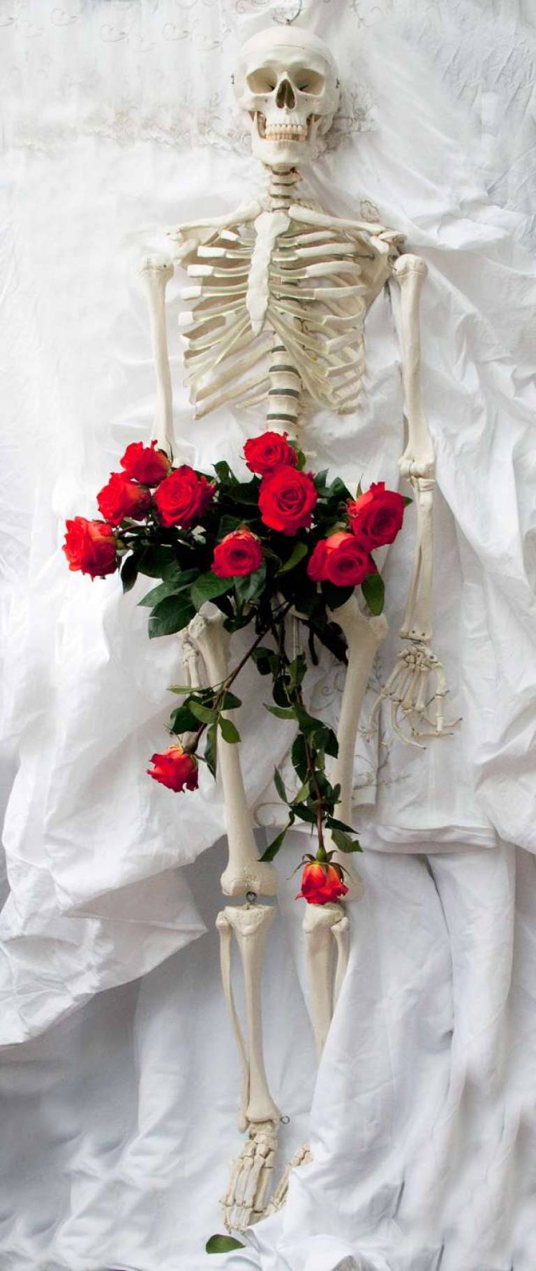 1 ROSES MUSE - Beatrice Lacey