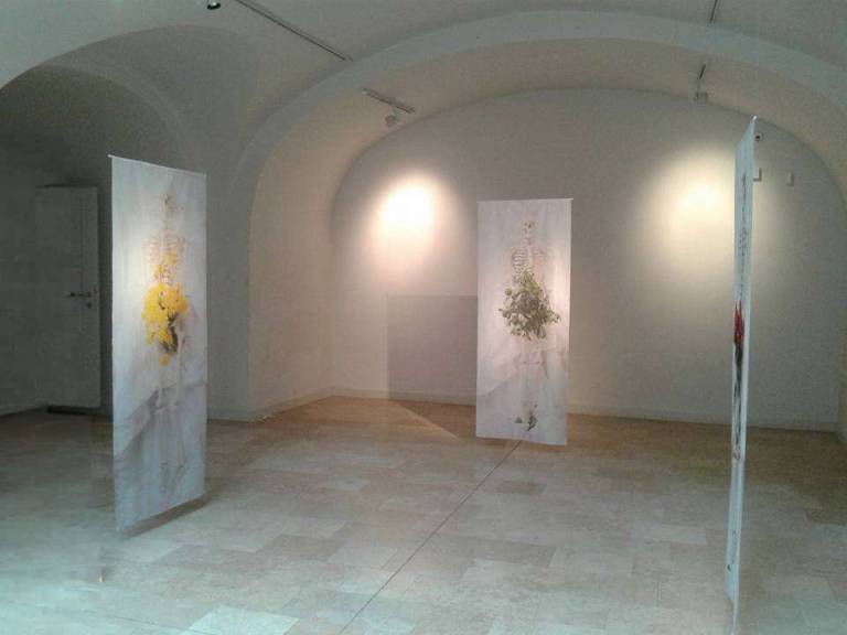 1 CHRYSANTHEMUM MUSE - Beatrice Lacey