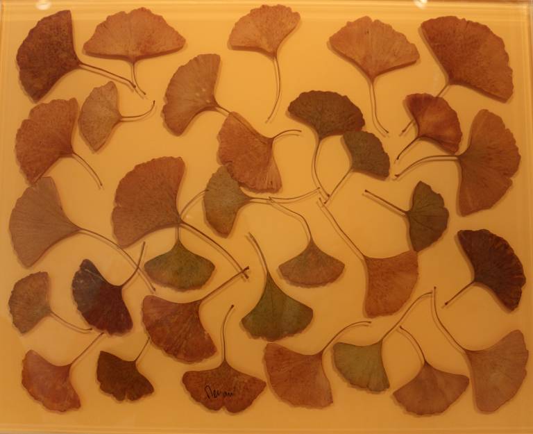 GINKGO GLASS - Sandra Menant