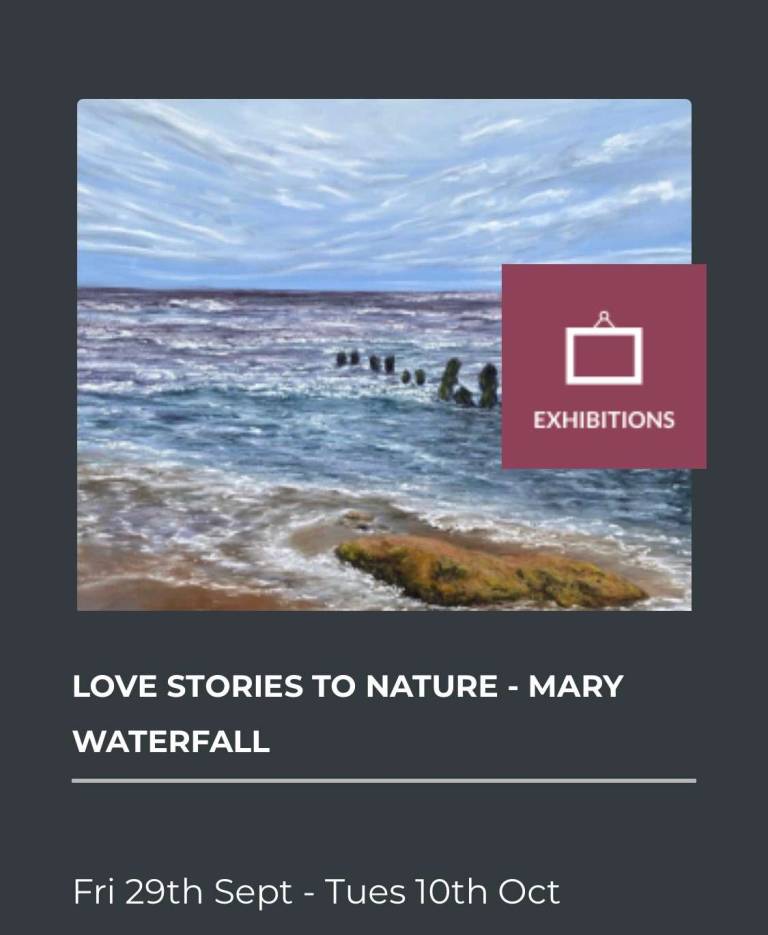 Solo Exhibition Station Gallery Richmond - Mary Waterfall