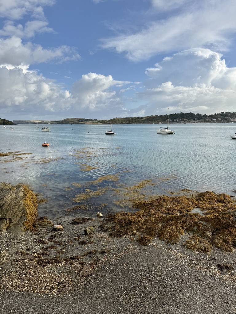 Walking and looking - 