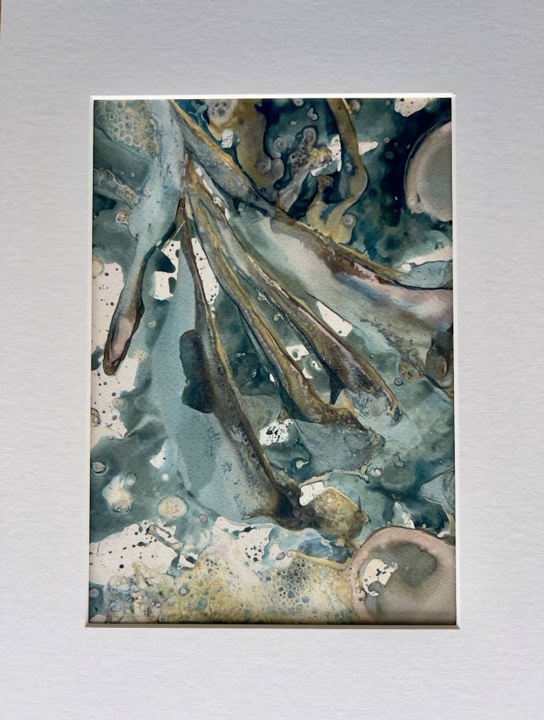 Beachcomber cyanolumen print 1 - Sharon Bruster
