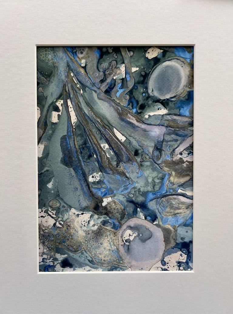 Beachcomber cyanolumen print 3 - Sharon Bruster