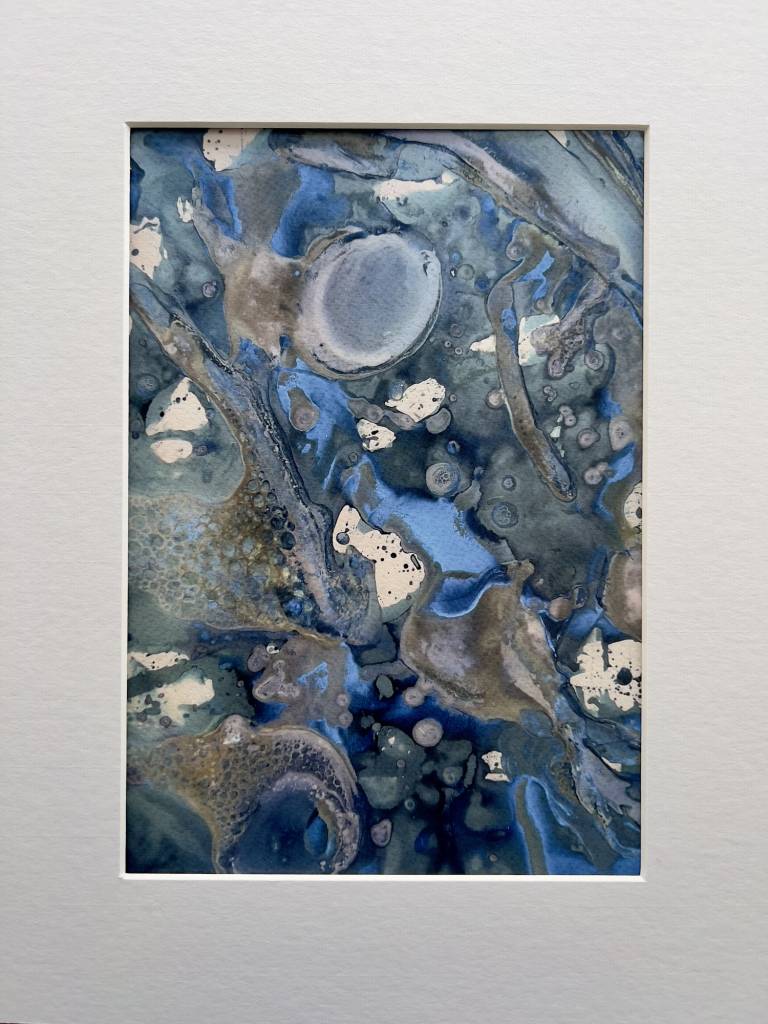 Beachcomber cyanolumen print 4 - Sharon Bruster