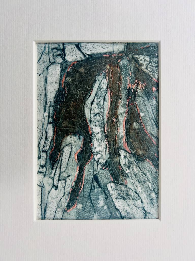 Seaweed strewn rocks #1 - Sharon Bruster