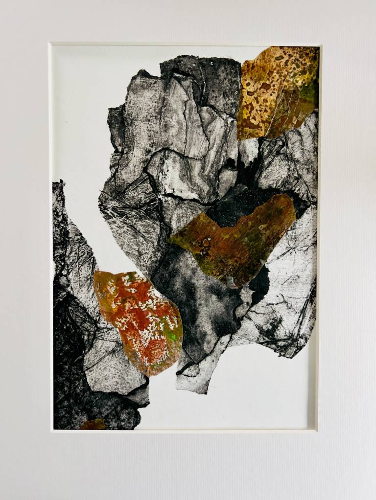 Paths through rocks #5 - Sharon Bruster