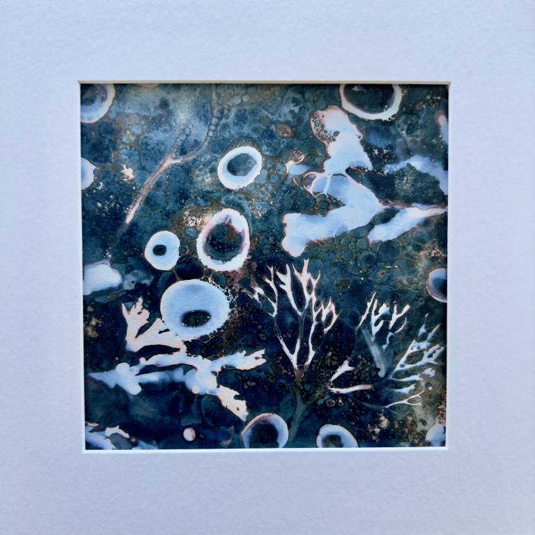Beachcomber cyanolumen print 7 (square) - Sharon Bruster