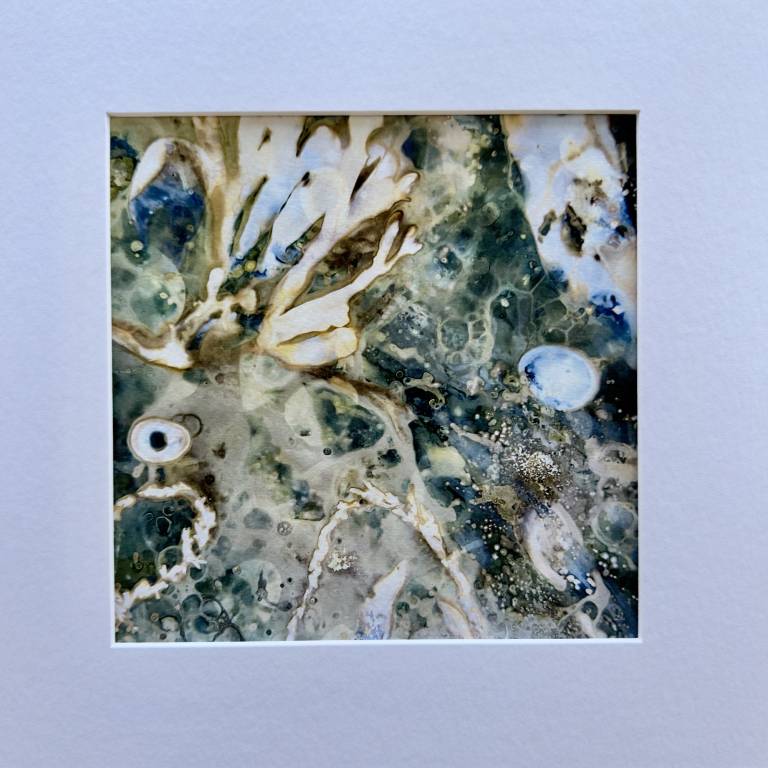 Beachcomber cyanolumen print 6 (square) - Sharon Bruster