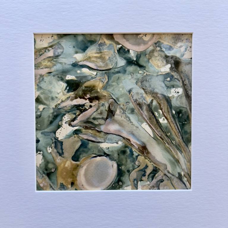 Beachcomber cyanolumen print 2 (square) - Sharon Bruster