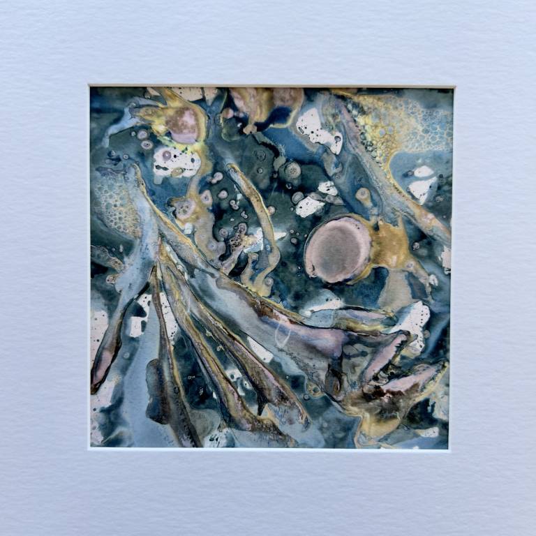 Beachcomber cyanolumen print 1 (square) - Sharon Bruster