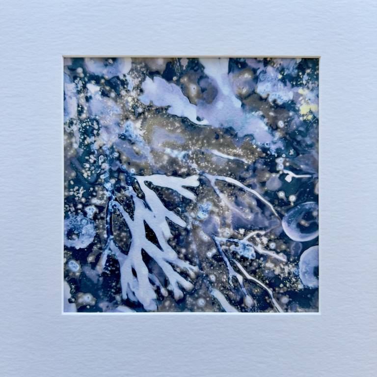 Beachcomber cyanolumen print 8 (square) - Sharon Bruster