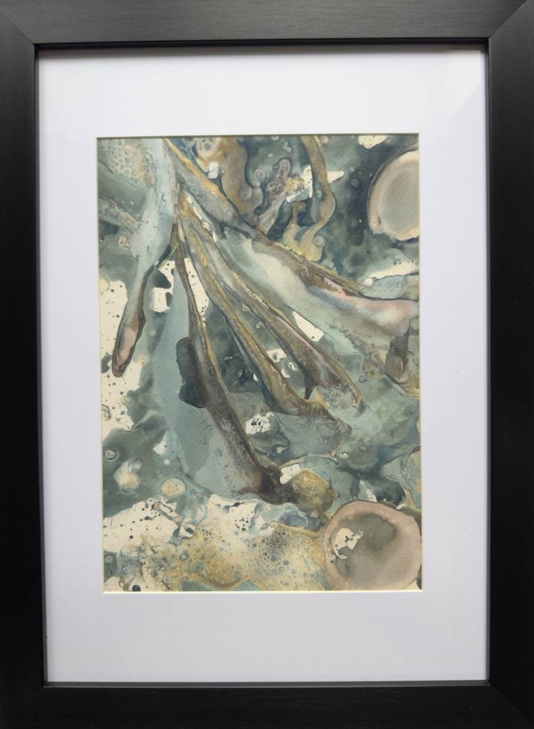 Beachcomber cyanolumen print 1 (framed) - Sharon Bruster