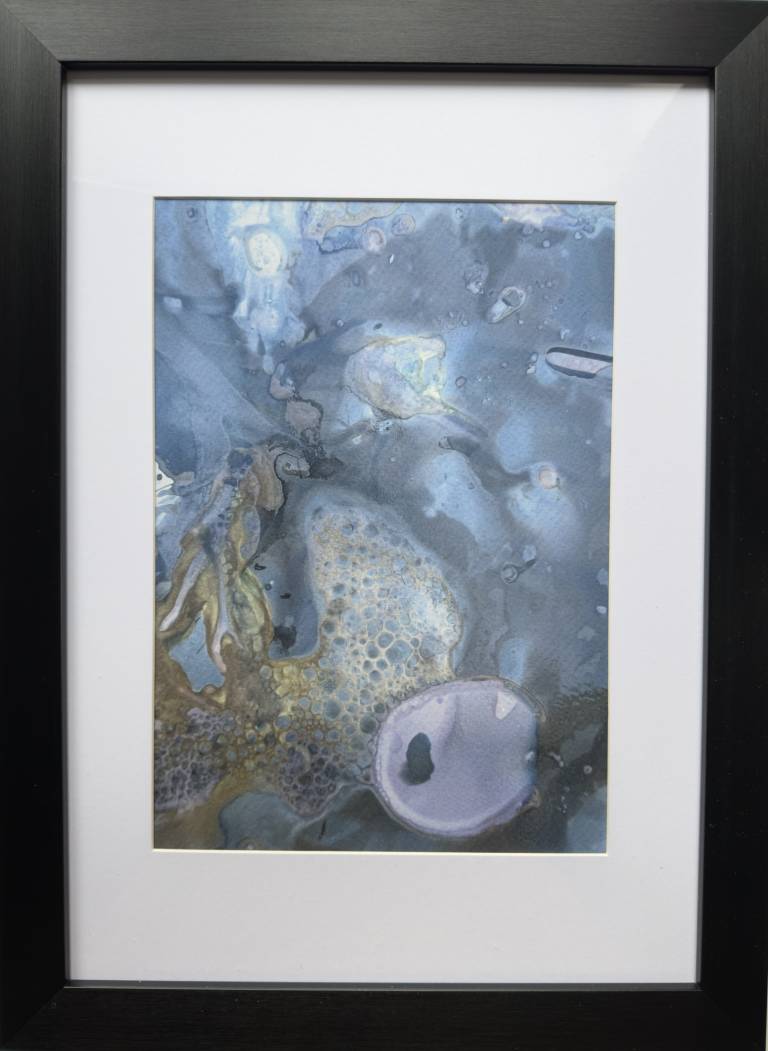 Beachcomber cyanolumen print 5 (framed) - Sharon Bruster