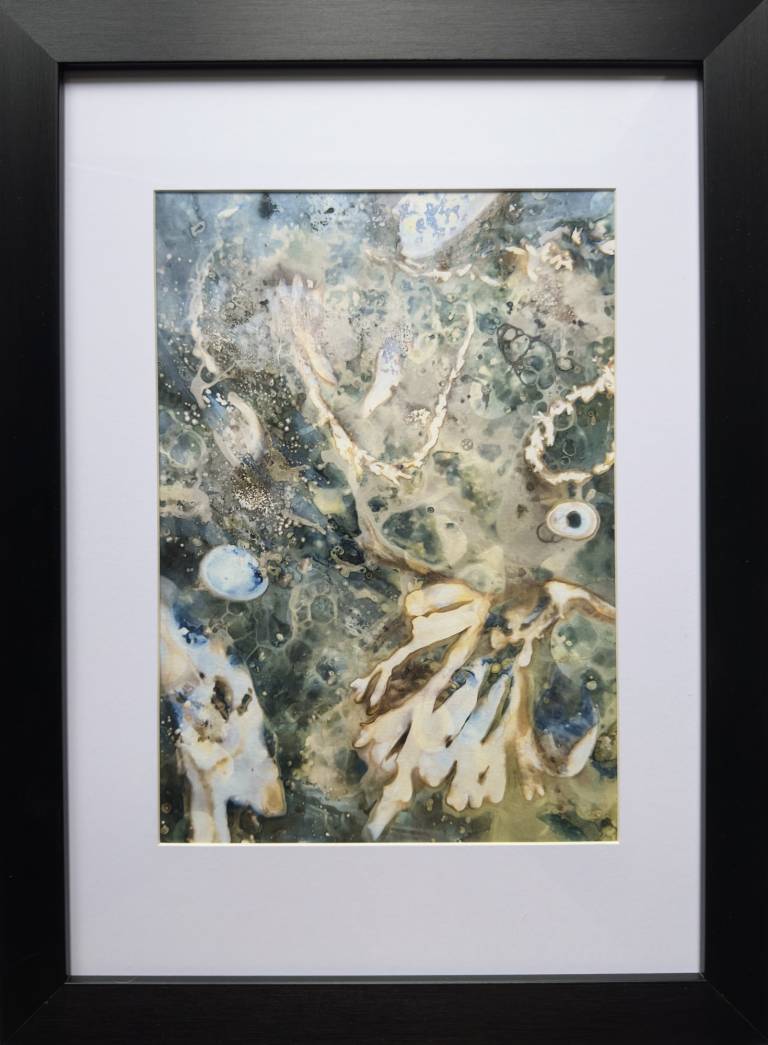 Beachcomber cyanolumen print 6 (framed) - Sharon Bruster