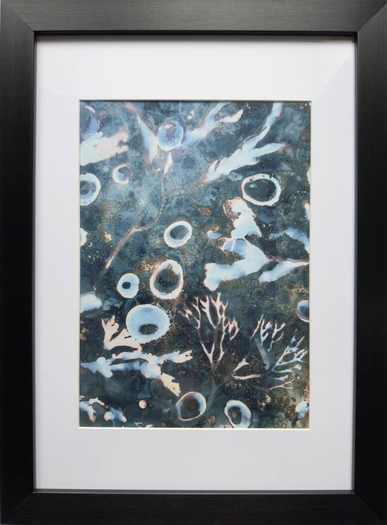 Beachcomber cyanolumen print 7 (framed) - Sharon Bruster